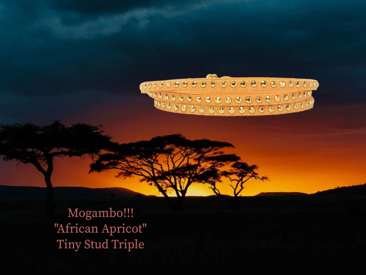 Mogambo African Apricot tiny Stud Triple Wrap $16.99