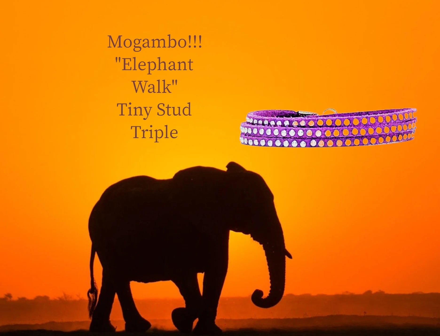 Mogambo Elephant Walk Tiny Stud triple Wrap. $16.99