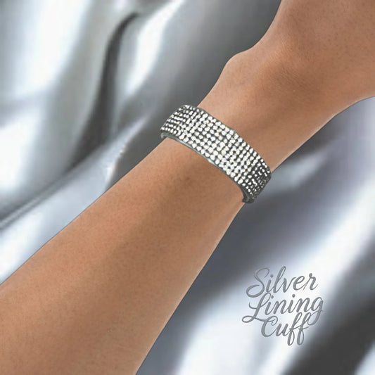 Year; "Shiny & New" "Silver Lining"