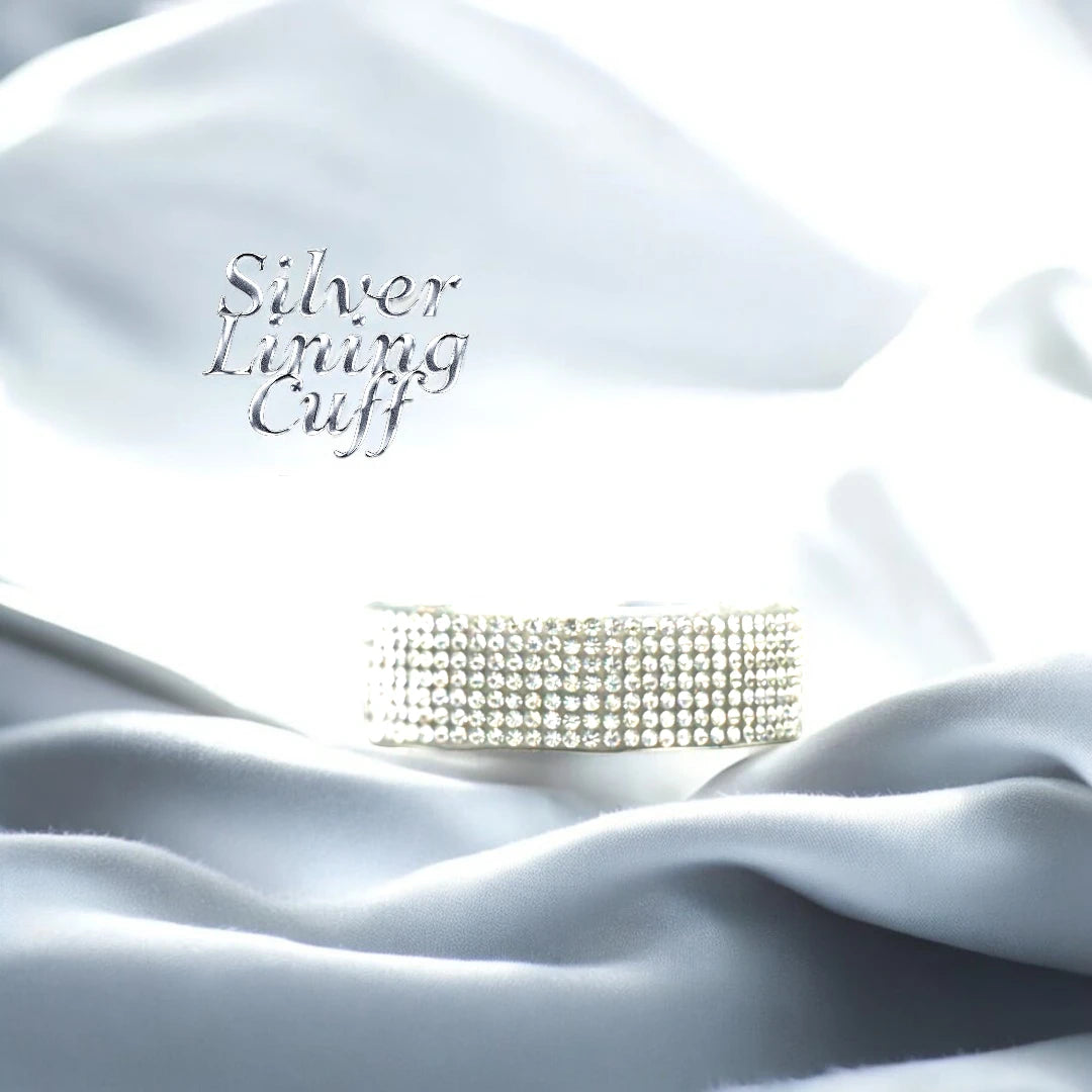 Year; "Shiny & New" "Silver Lining"
