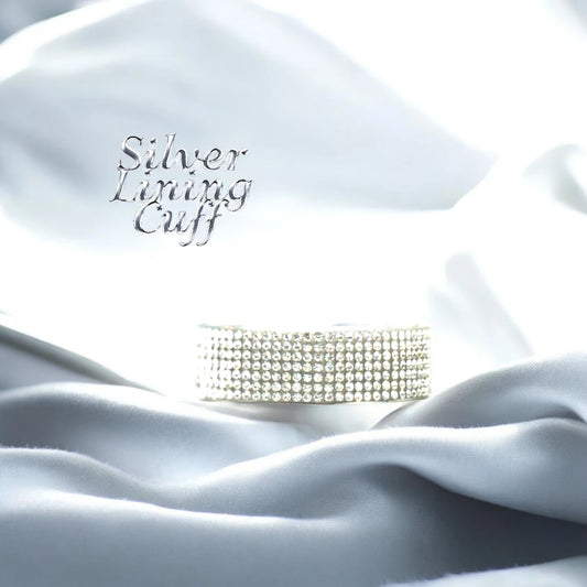 Year; "Shiny & New" "Silver Lining"