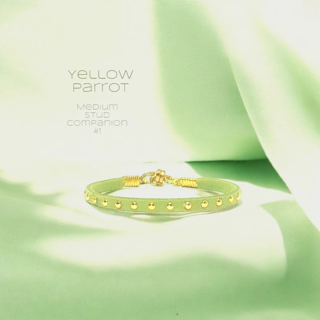 "YELLOW PARROT" Bracelet Collection