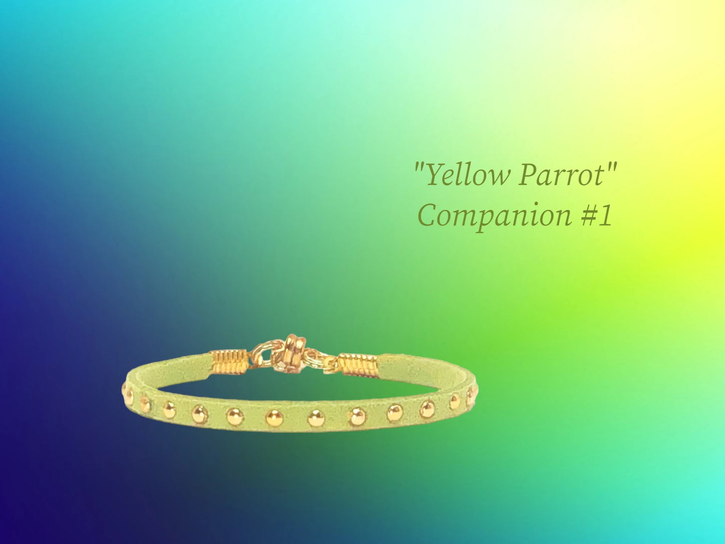 Yellow Parrot Companion w/ Gold Studs $15.99