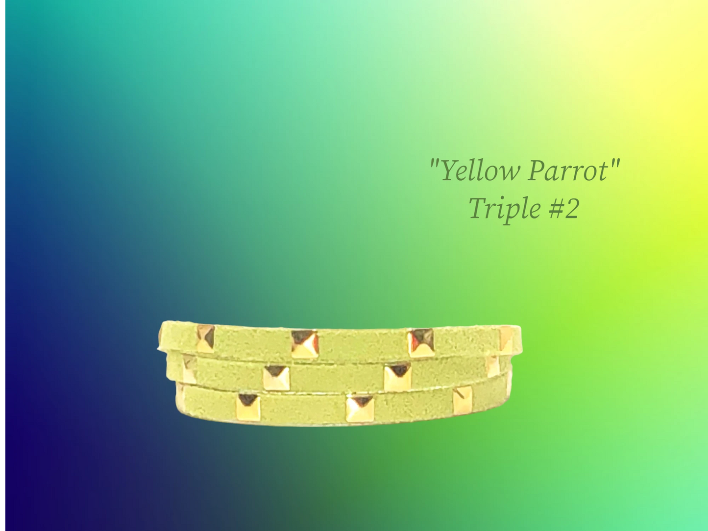 Yellow Parrot Triple wrap with Gold square studs. $23.99